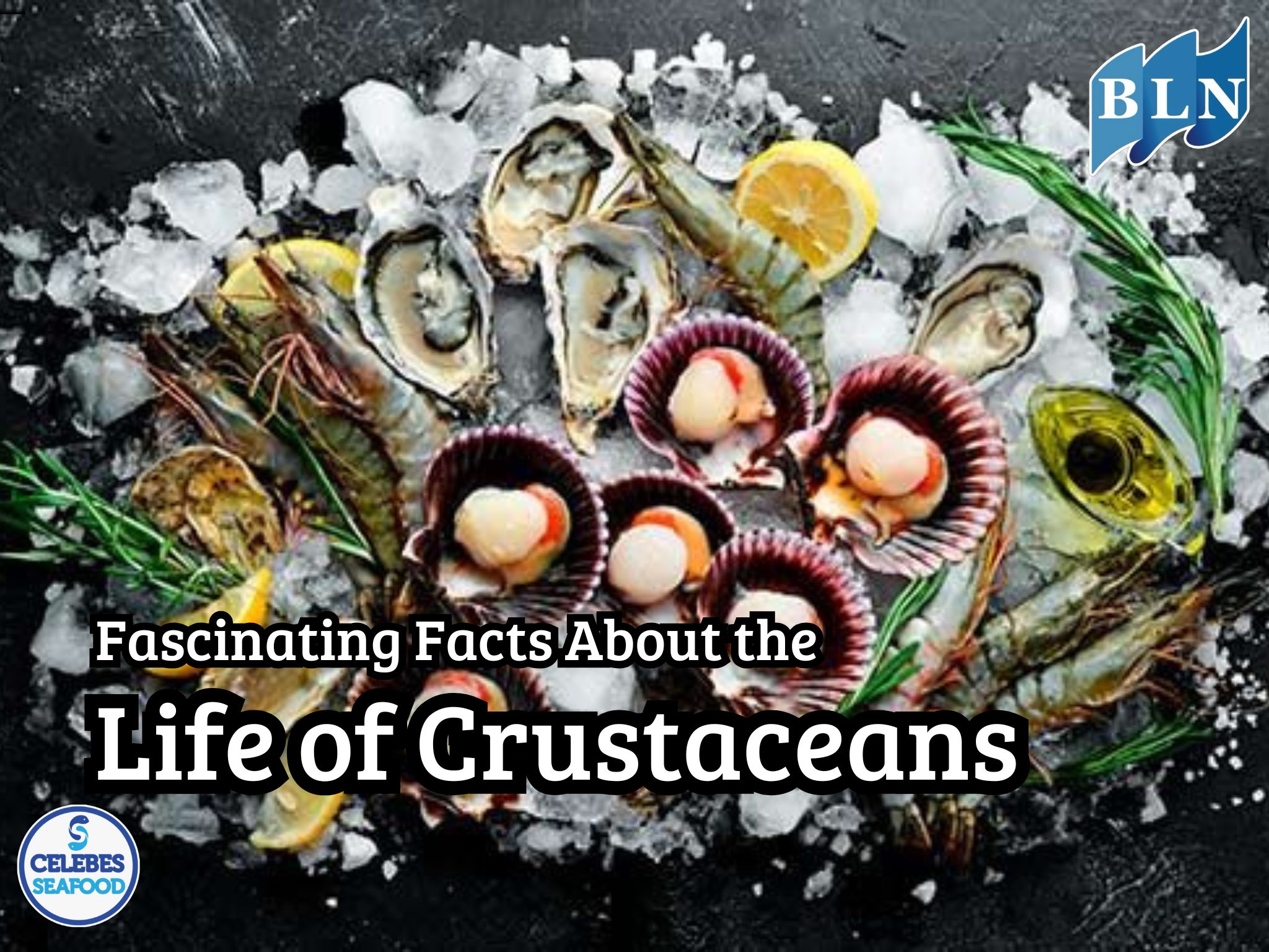 Fascinating Facts About the Life of Crustaceans